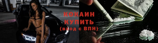 хмурый Абаза