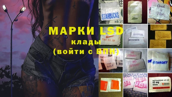 хмурый Абаза