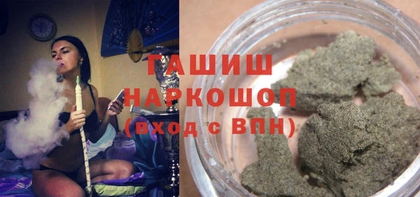 хмурый Абаза