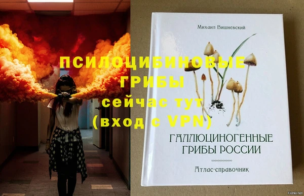 дмт Саяногорск